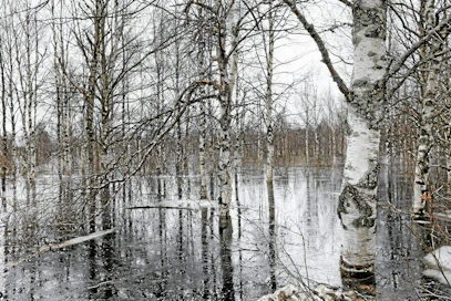 Kollajan tekojärvihanketta kannatetaan muun muassa tulvasuojelun vuoksi. Tekojärvi vähentäisi kevättulvia Iijoen vesistössä Pudasjärvellä.