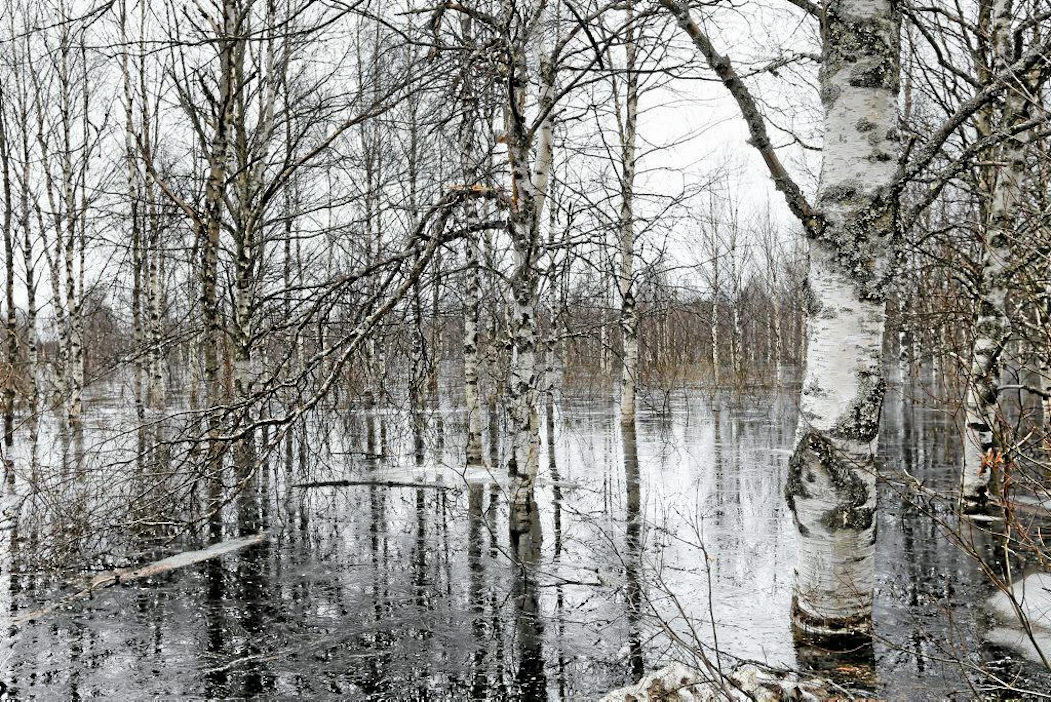 Kollajan tekojärvihanketta kannatetaan muun muassa tulvasuojelun vuoksi. Tekojärvi vähentäisi kevättulvia Iijoen vesistössä Pudasjärvellä.