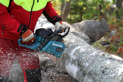 Metsähallitus perusti tämän vuoden alkupuolella metsureiden talvityöllistämistä pohtivan työryhmän.