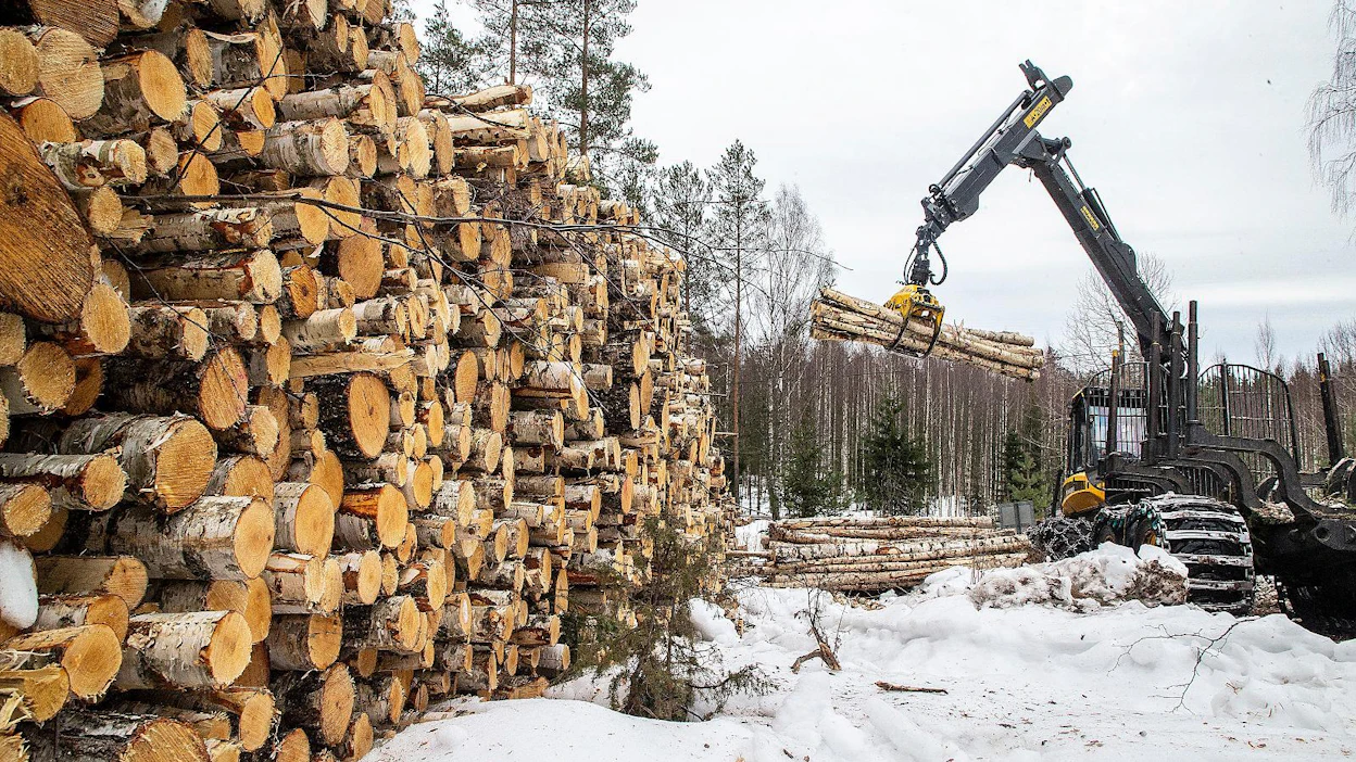 Suomeen tuotiin puuta ja haketta Venäjältä viime vuonna 9,3 miljoonaa kuutiometriä. Puutavaralajeista eniten tuli koivukuitupuuta. Arkistokuvassa koivukuitupuuta korjataan Lohjalla.