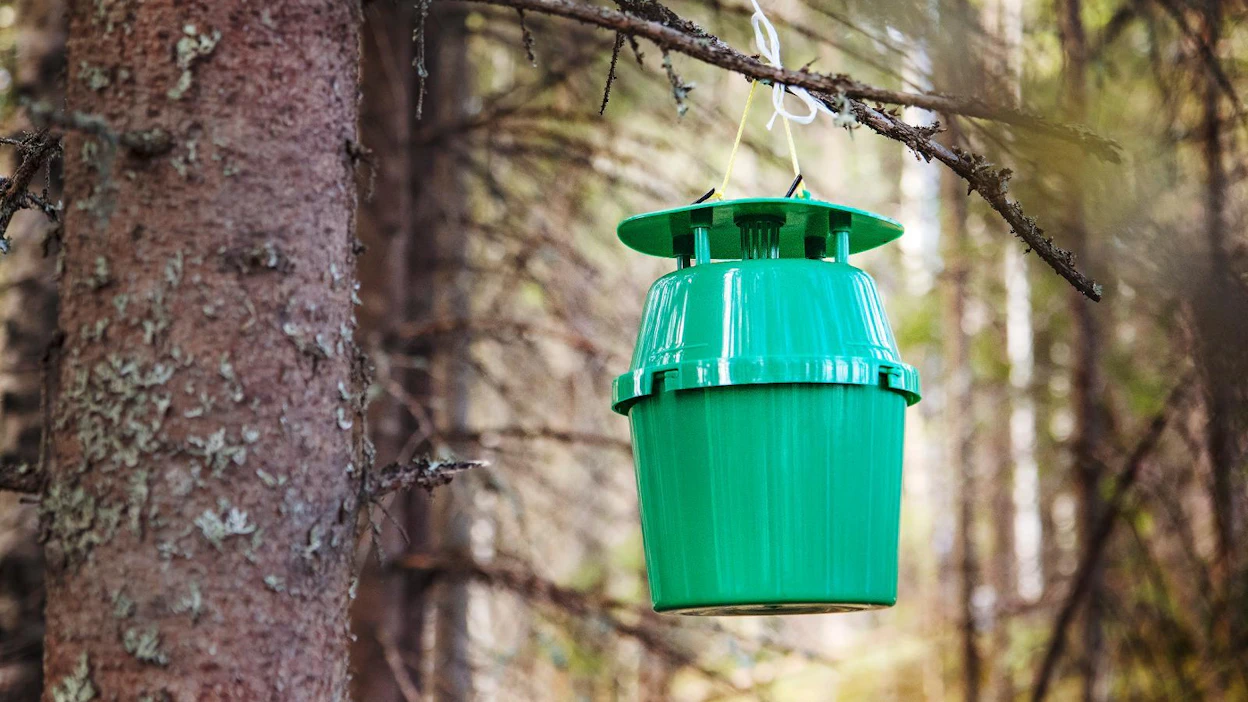 Luonnonvarakeskus seuraa havununnan levittäytymistä feromonipyydyksillä noin sadalla eri kohteella.