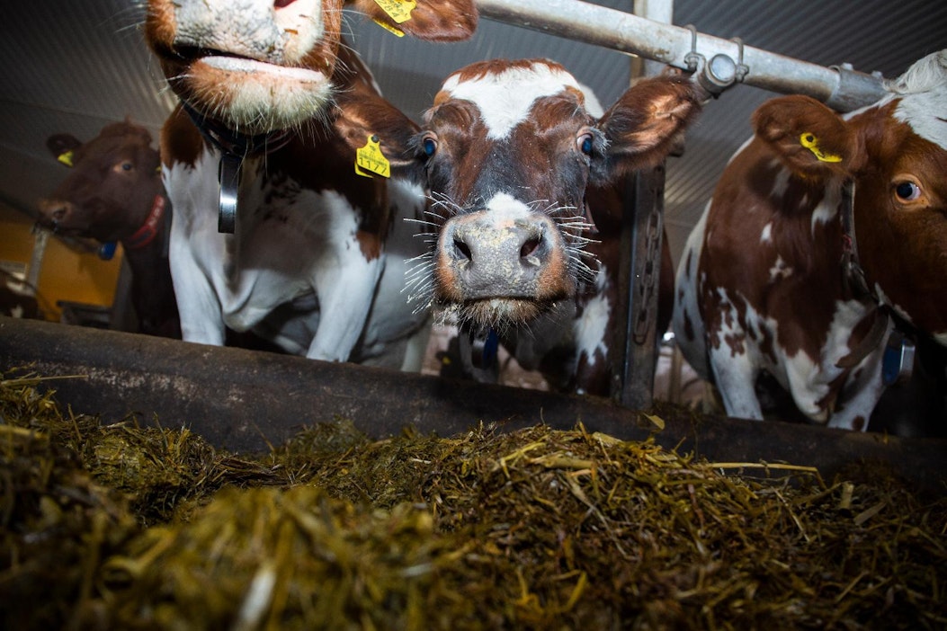 Tilat osaavat ennakoida vaikeuksia aiempaa paremmin.