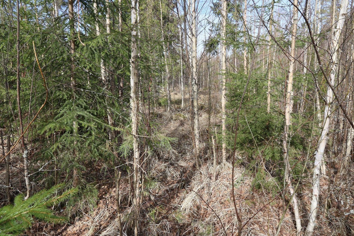 2012 reikäperkauksen jälkeen