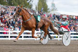 Huippusuomenhevonen Joriinin kilpaura Hannu Hietasen valmennuksessa on päättynyt ja se keskittyy jatkossa pelkästään siitosoriin toimeen.