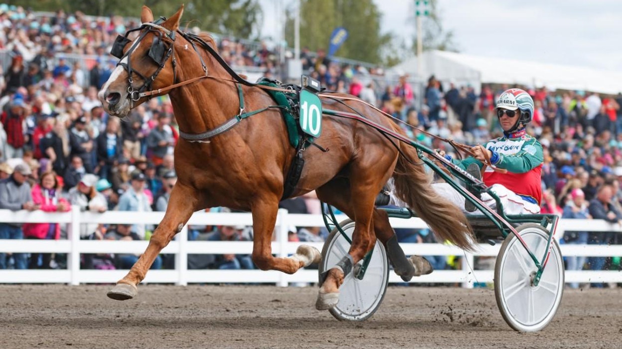 Huippusuomenhevonen Joriinin kilpaura Hannu Hietasen valmennuksessa on päättynyt ja se keskittyy jatkossa pelkästään siitosoriin toimeen.
