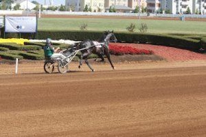 Noel Daley lämmittelee valmennettavaansa kaksivuotiasta ori Sortieta Lexingtonissa 6.10. Kuva: Riku Niittynen