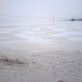 Saharasta kulkeutunuttta hiekkaa näkyi lumisella pellolla Kurikassa tällä viikolla. LEHTIKUVA / TEEMU SALONEN