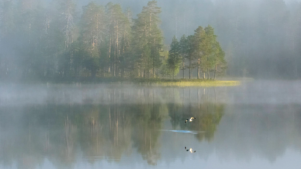 Aamupäivällä sumun hälveneminen voi olla hidasta etenkin eteläisessä Suomessa. Kuva: Viestimedian arkisto