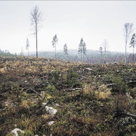 Imastoneuvotteluissa metsäpinta-alan vähenemisen katsotaam lisäävän päästöjä. Suomen mielestä pitäisi laskea metsien kokonaiskasvua eikä pinta-alaa. Kari Salonen