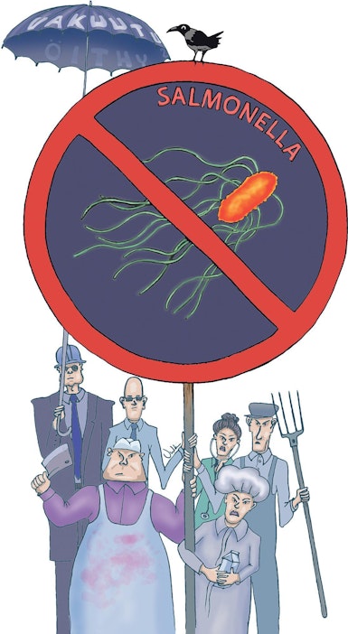 Suomessa koko elintarvikeketju taistelee yhdessä salmonellaa vastaan.