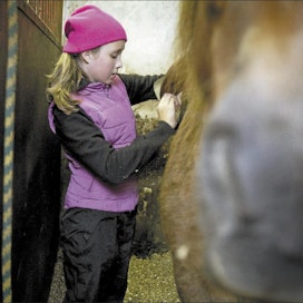 Iita Levanoja satuloi hevosta Kantelesärkän ratsastustallilla Jako-koskella Pohjois-Karjalassa. Tutkimuksen mukaan lapset, jotka ovat tekemisissä eläinten ja luonnon kanssa, ovat terveempiä kuin kaupungeissa asuvat. jaakko kilpiäinen