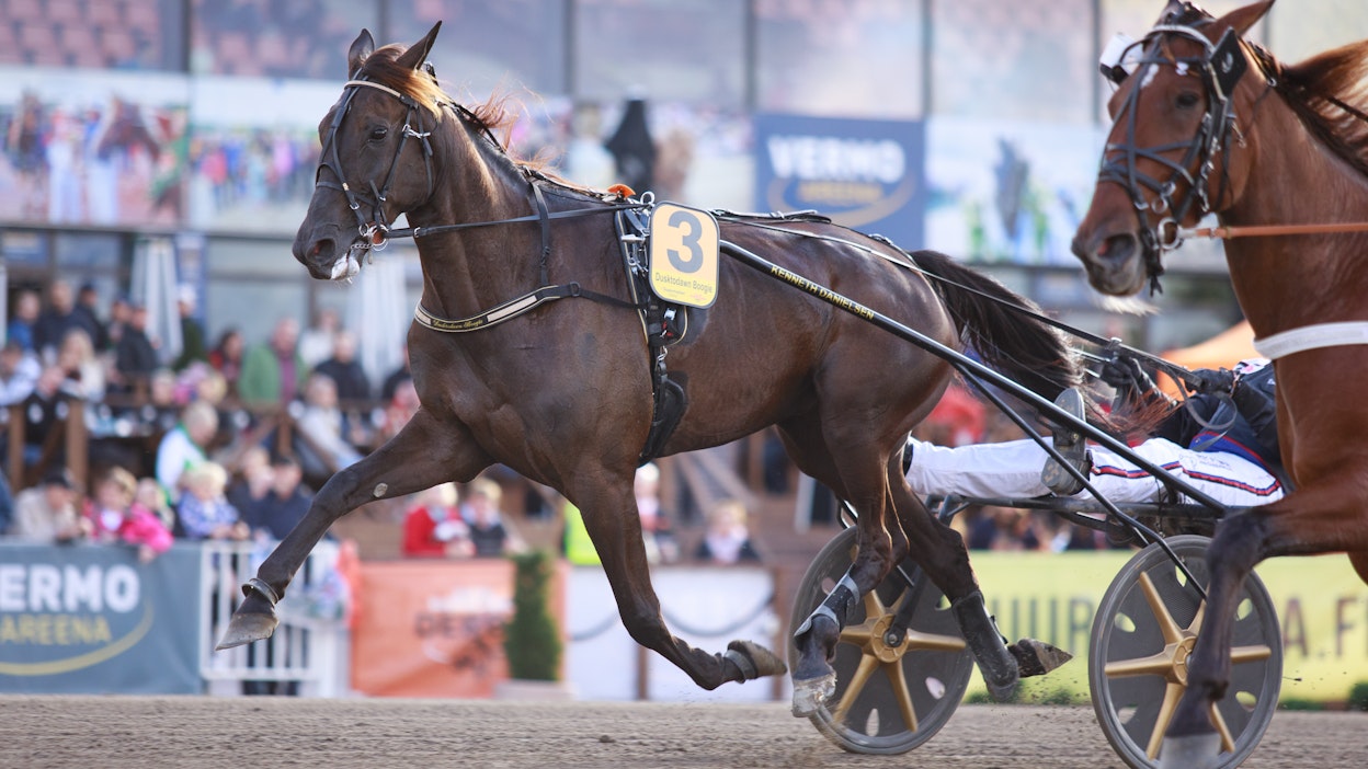 Dusktodawn Boogie on ollut kotimaan kilparadoilla voittamaton hevonen tänä vuonna ja kova Ranskassakin. Sen talven Ranskan uusi valloitus vaihtuu kuitenkin todennäköisesti valmennusjaksoon.