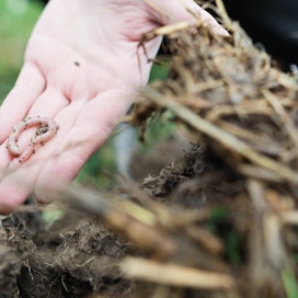 Luonnonvarakeskuksen erikoistutkijoiden Johanna Laakson ja Elina Tampion mukaan biokiertotalous auttaa maaperän hyvinvoinnin kehittämisessä.