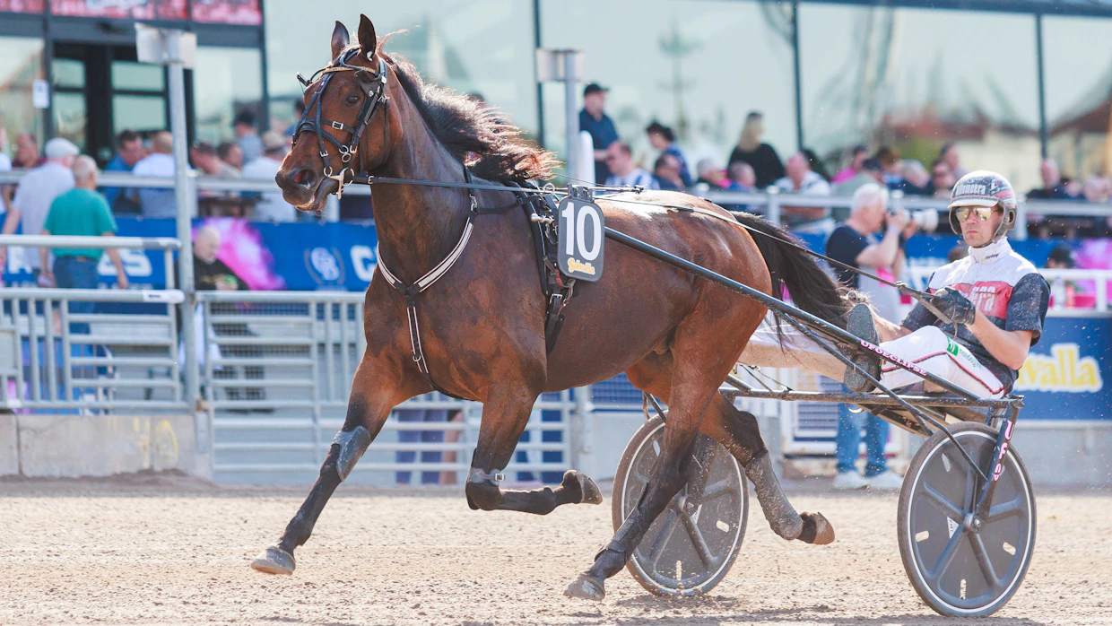 Kendall Sisu kilpaili kolme- ja neljävuotiskaudella Katja Melkon valmennuksesta. Kuvassa tamma valmistautuu Mika Forssin ohjastamana Elitloppet-perjantain starttiin.