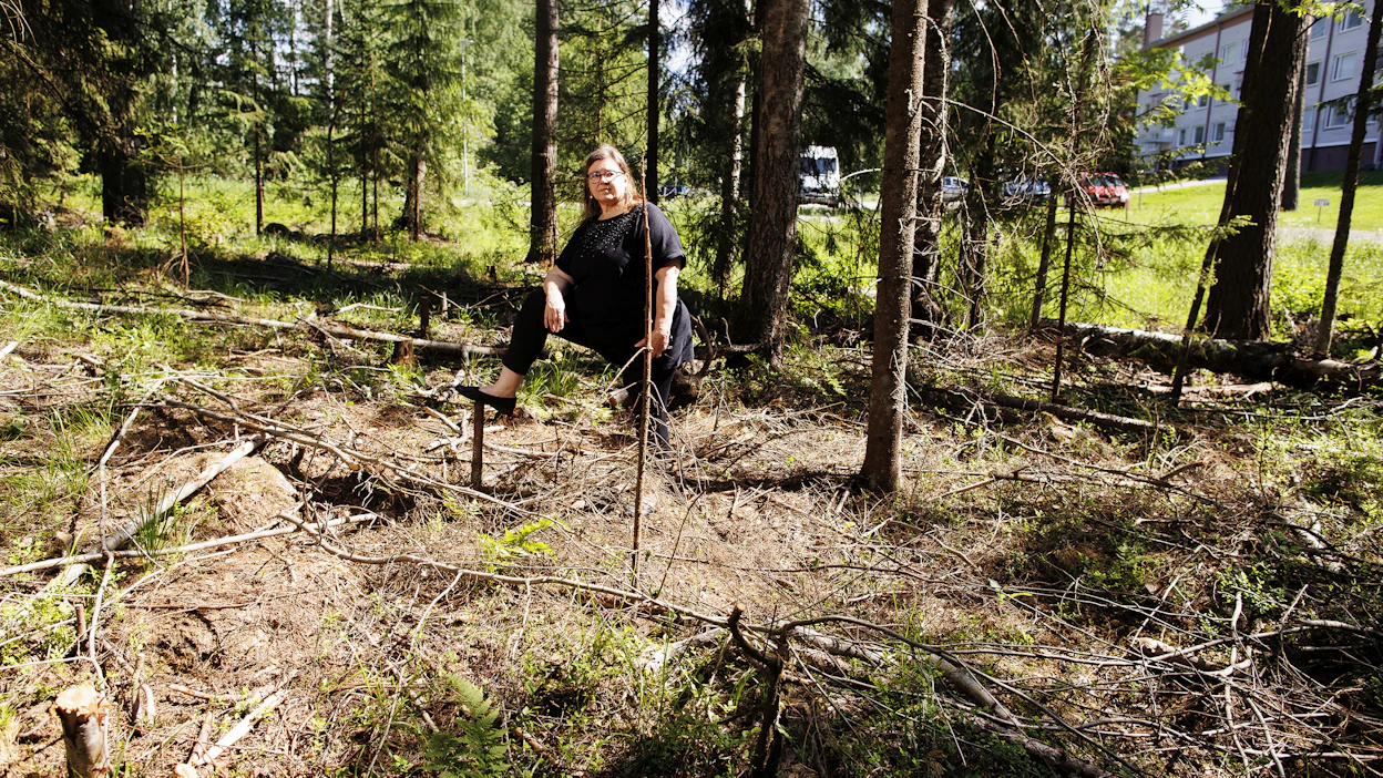 Ennen sankasta lähimetsästä tuli harva ja risukkoinen Kypärämäellä, kun metsäkone vieraili paikalla keväällä. Irma Hirsjärven mukaan alueelta on kadonnut hakkuiden jälkeen lintulajeja ja liikenteen melu on lisääntynyt.