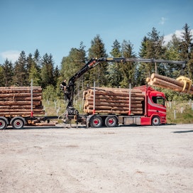 Loglifitin uuden sukupolven puutavaranosturit ovat käyneet lävitse kattavan testiohjelman käytännön töissä Suomessa, Ruotsissa ja Saksassa. Ensimmäisenä markkinoille tulee 18 tonnimetrin 18Z.