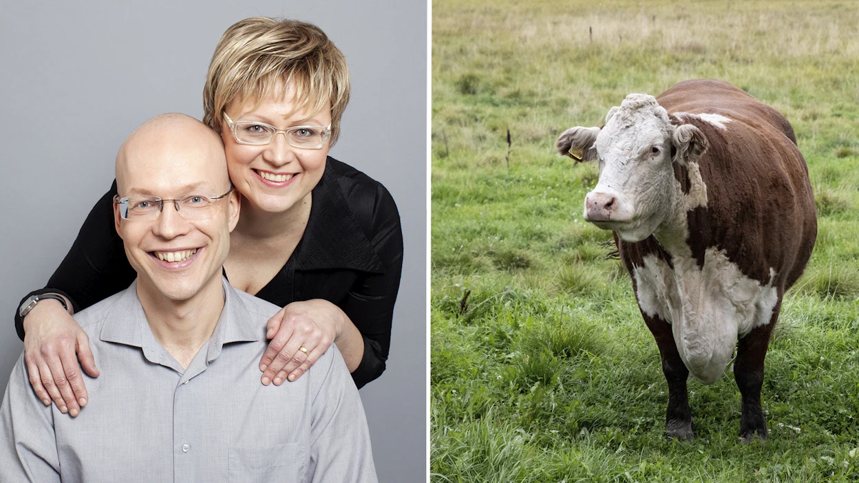 Sami Toivonen ja Aino Havukainen kertoivat jo vuonna 2018, etteivät juo maitoa. Pariskunta on tehnyt kirjoja yhdessä yli 25 vuotta.