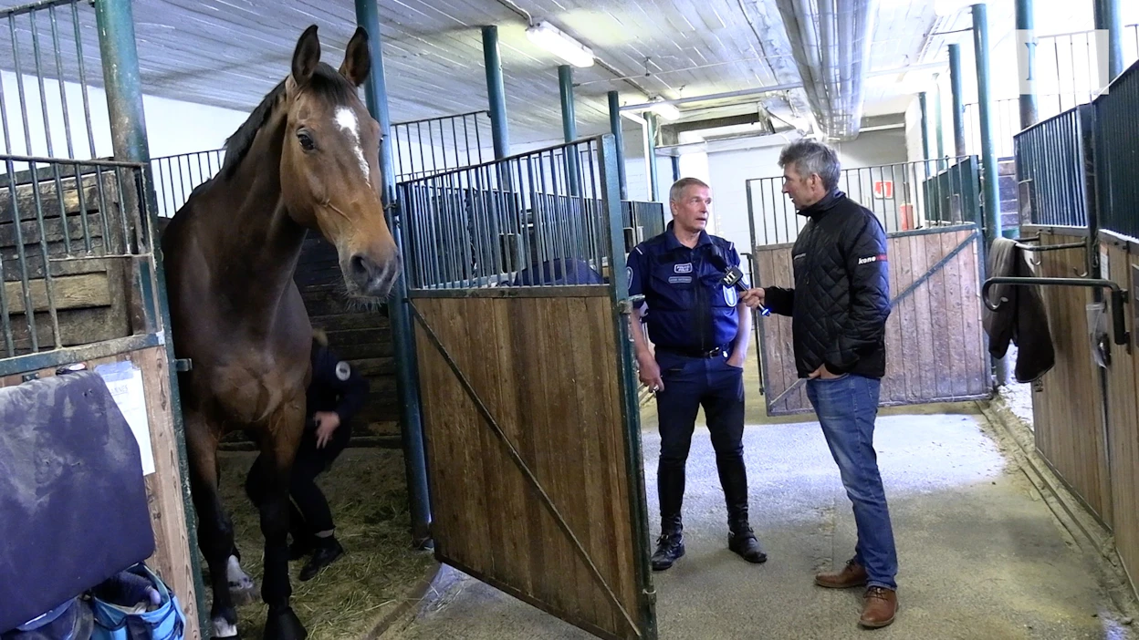 Vanhempi konstaapeli Jukka Aarninsalo esittelee sunnuntain MT Hevoset -ohjelmassa Helsingin ratsupoliisin työtä.