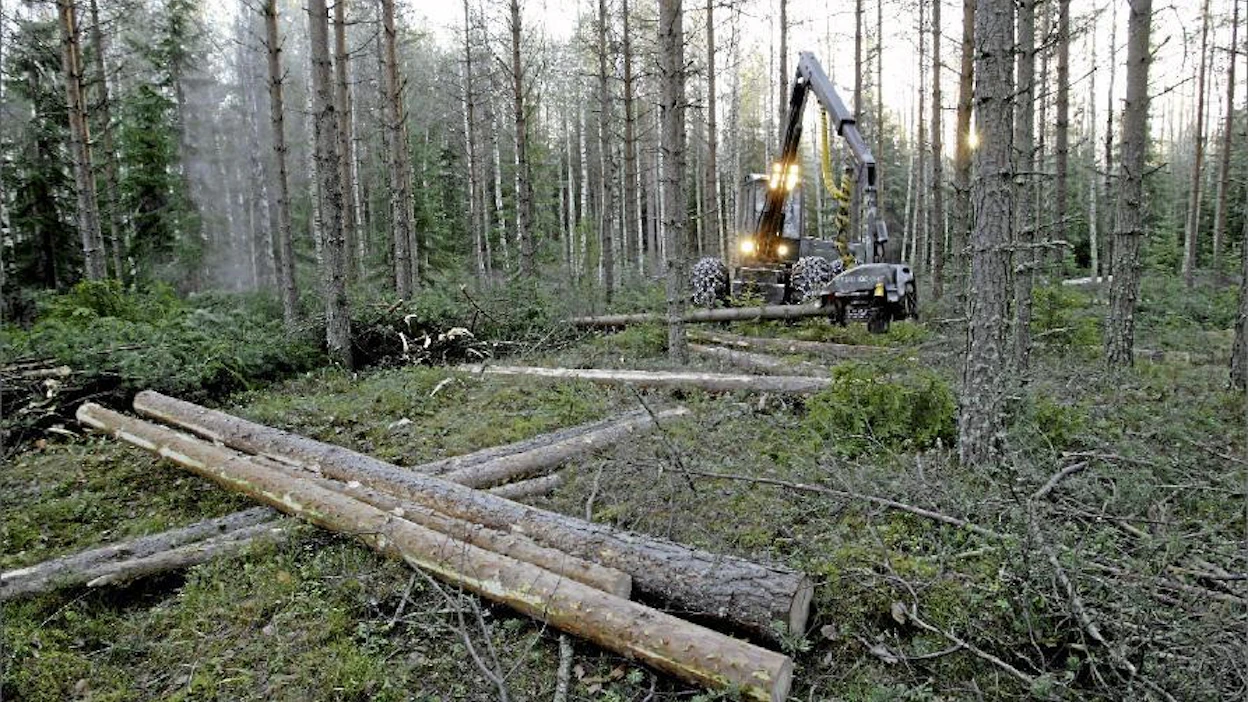 Pienmetsänomistajan ja koneyrittäjän pitää valita edusmiehikseen sellaisia henkilöitä, jotka pitävät puolensa firmojen kanssa neuvoteltaessa, HeikkiTaskinen korostaa. Jaana Kankaanpää