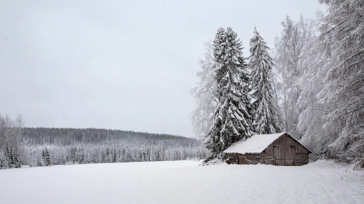 Siinä missä paksu lumi peittää maisemaa maan itä- ja pohjoisosissa, etelässä ja lännessä lumipeitteestä ei ole tietoakaan. Jos sitä on, se hupenee lähipäivien lämpimässä säässä. Koko maahan tammikuusta on ennusteiden valossa tulossa tavanomaista leudompi.