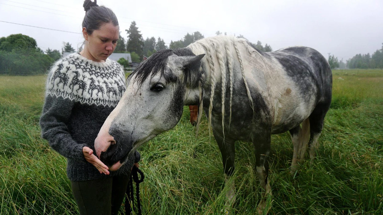 Anna huolia hevosen -neule on saanut kiitosta lohtuneuleena. Huolet voi antaa vaikka hevosen kannettavaksi, ja se helpottaa, kertoo neulemallin kehittäjä Jenna Kostet.