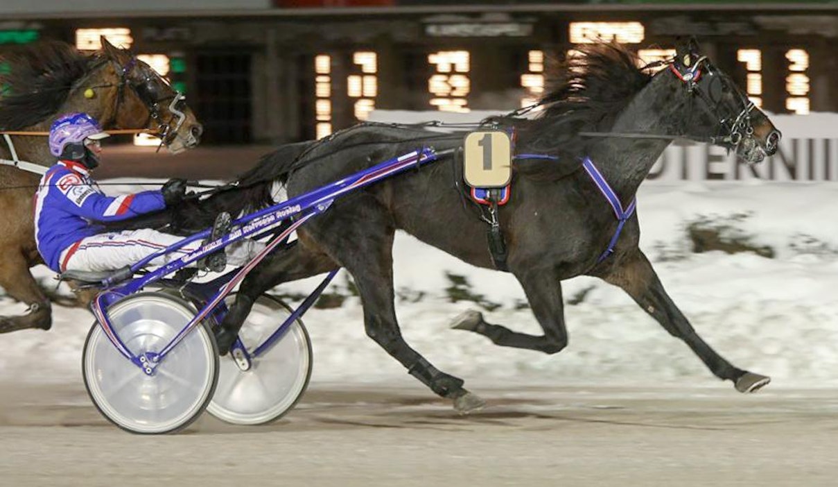 Jeppas Pointer ei jättänyt kansaa kylmäksi Vermossa mahtiesityksellään.