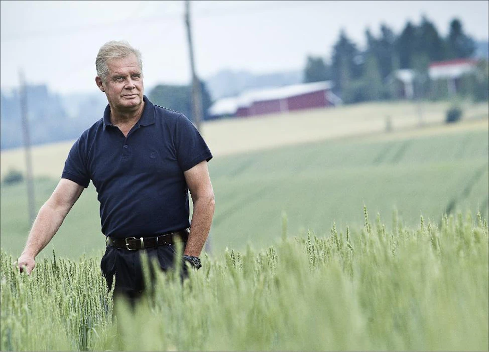 Hollolalainen Kai Brofeldt on tyytyväinen tilakeskuksen vieressä olevaan vehnäkasvustoon. Mikäli säät suosivat loppukasvukauden ja kasvusto ehtii tuleentua, odotettavissa on yksi tilan parhaista vehnäsadoista. Kari Salonen