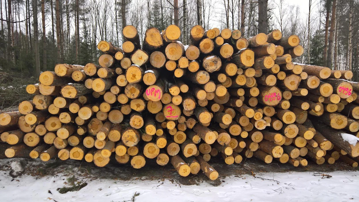 Metsätilavähennys antaa mahdollisuuden vähentää perintöveroa puukauppatulojen pääomaverosta.
