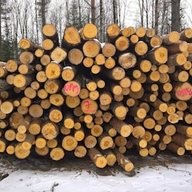 Metsätilavähennys antaa mahdollisuuden vähentää perintöveroa puukauppatulojen pääomaverosta.