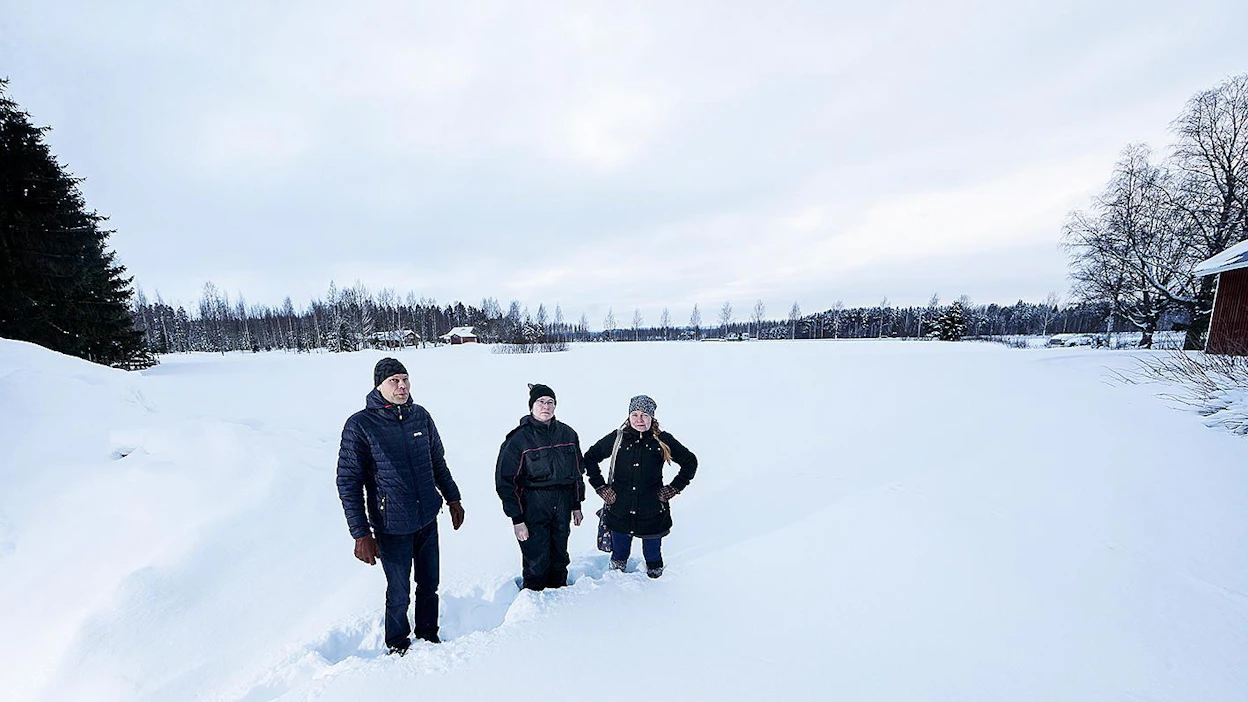 Ohitustie halkoisi viljelijöiden pellot Nerkoon kylässä Lapinlahdella, Juhani Räihä, Pirkko Virkkunen-Korhonen ja Seija Leinonen kertovat MT:lle.
