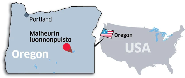 Oregon sijaitsee Yhdysvaltojen länsirannikolla. Harneyn piirikunta lähellä Nevadan rajaa on erittäin harvaan asuttua.