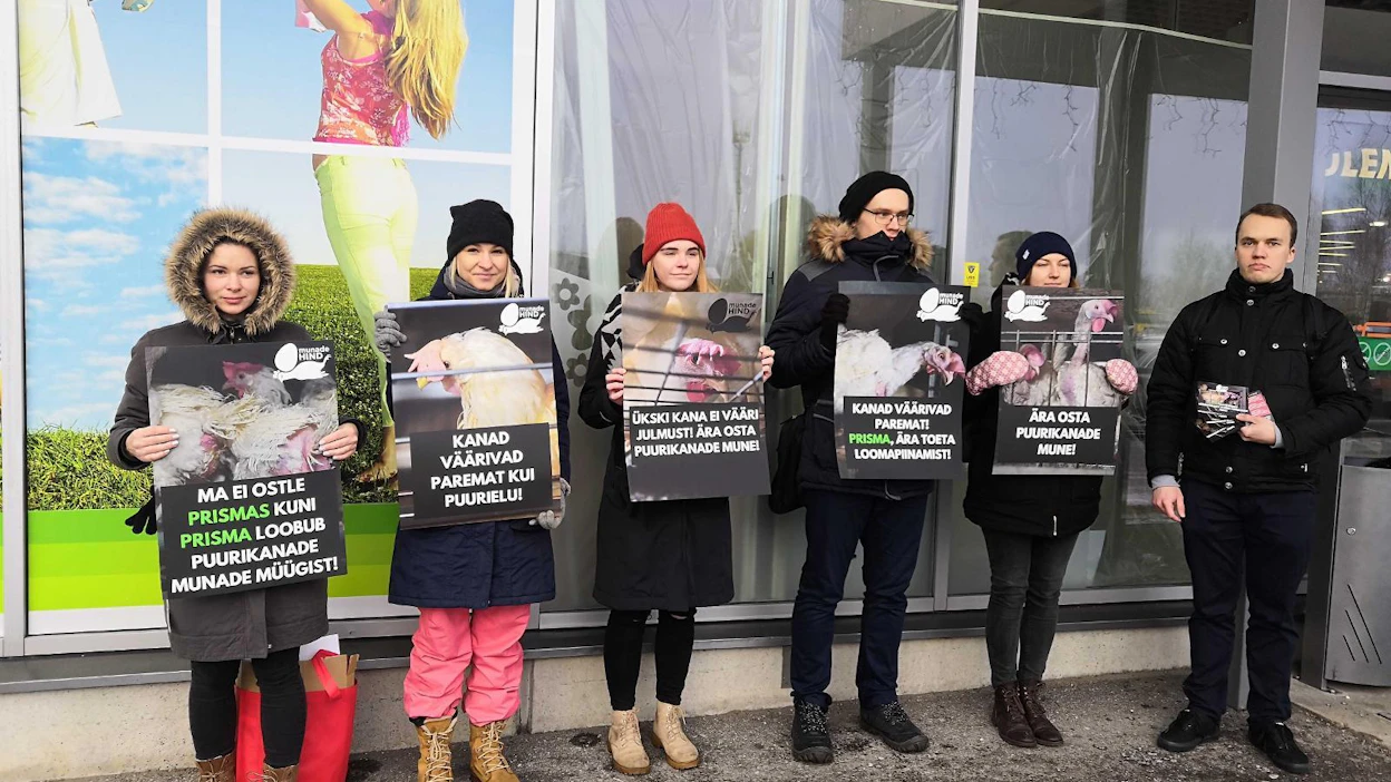 Nähtamatud Loomad -eläinoikeusjärjestön aktivistit ovat osoittaneet mieltään tänä vuonna Tallinnassa, jotta Prismat luopuisivat häkkikananmunien myynnistä.
