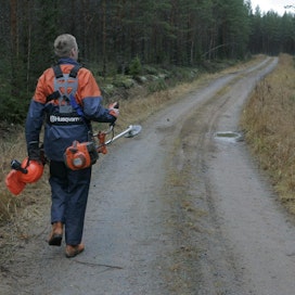 Metsäkeskus alkaa ottaa taimikon varhaishoidon rahoitushakemuksia vastaan ensi maanantaina 10. lokakuuta. Ministeriö toivoo, että hakemukset jätetään sähköisten järjestelmien kuten metsäkeskuksen Metsään.fi -palvelun kautta.