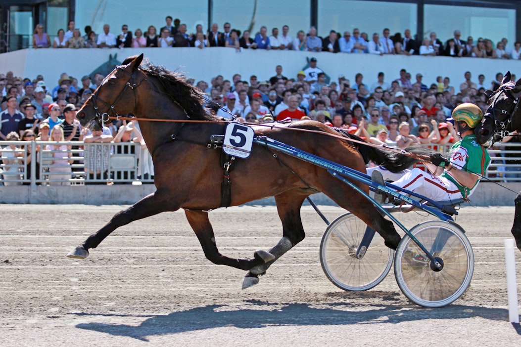 Sahara Dynamite palaa synnyintalliinsa Keuruulle.