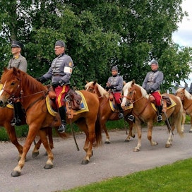 Rakuunoiden ratsuiksi etsitään rauhallisia, varmajalkaisia ja kilttejä suomenhevosia.