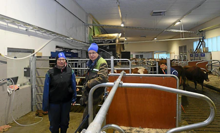  Minna ja Esa Markkula ovat saaneet ensimmäiset lehmät lypsylle lypsykonttiin.