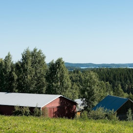 Totkunniemen Hovinmäeltä avautuu pieni sininen siivu Karjalan Pyhäjärveä. Aikojen saatossa maisema on päässyt jonkin verran pusikoitumaan ja metsittymään.