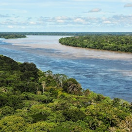 Brasilian sademetsästä on tulossa hiilidioksidin lähde hiilen sitomisen sijaan.