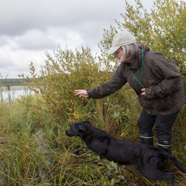 Sari Pitkäsen ja Riesun välillä vallitsee keskinäinen luottamus. Se on tärkeää metsästettäessä koiran kanssa.