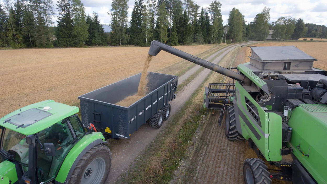 MT:n elokuussa haastattelema Juho Riuttamäki Huittisista puimassa rehuviljaa. Jo loppukesällä oli selvää, että tuotanto on tappiollista ilman korotusta lihan hintaan.