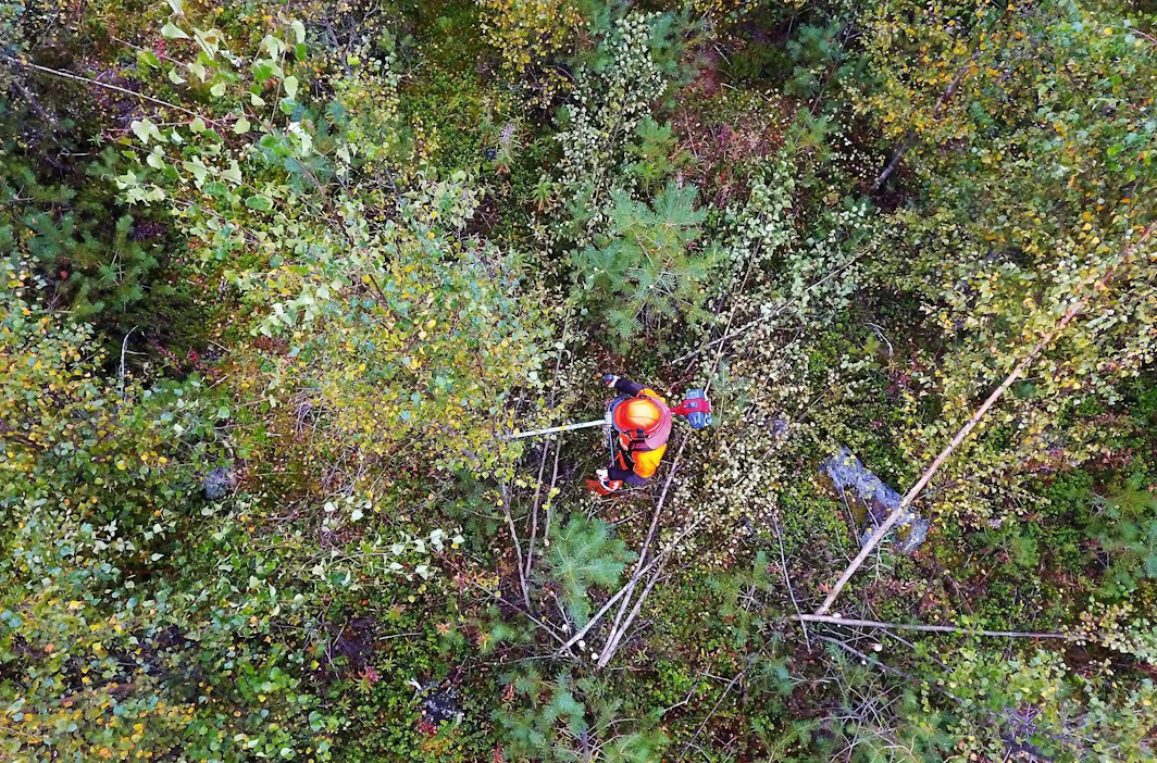 Metsänomistaja näkee Metsään.fi-palvelussa oman metsänsä tiedot, kun kirjautuu sisään. Avoimen metsätiedon palvelussa ei näy tietoja kiinteistöstä, omistajasta, organisaatioista tai rahasummista.