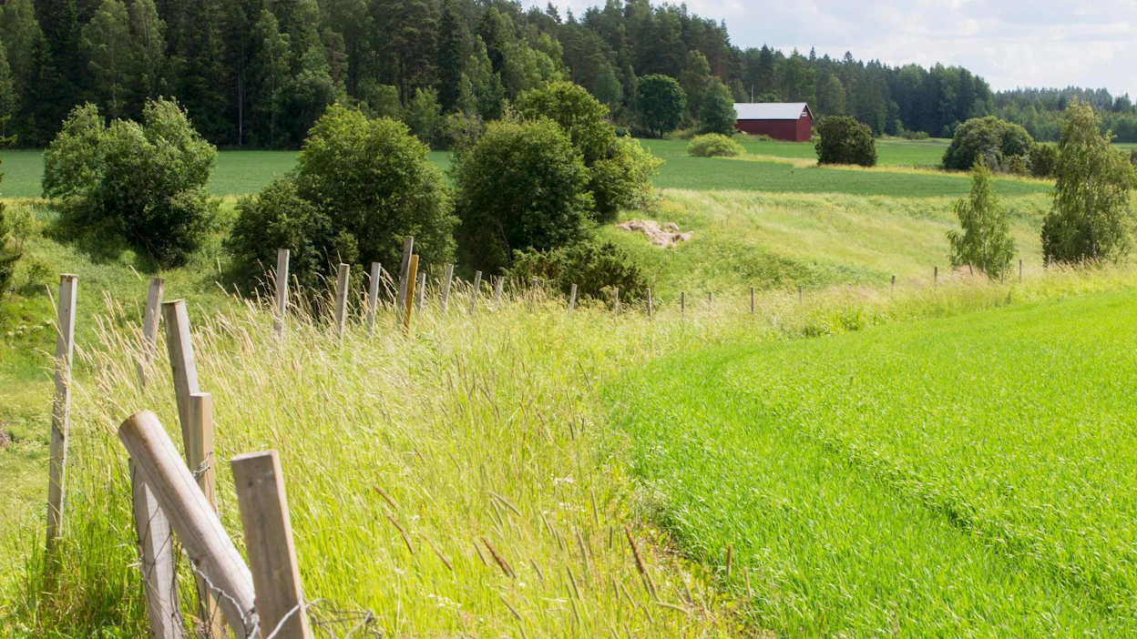 Syöpädiagnoosien yleistymisen taustalla on elintason nousu, joka näkyy lihavuutena, liikunnan vähenemisenä sekä lastensaannin lykkäämisenä.