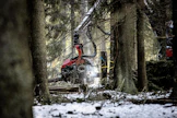 Lähes kaikki kunnat omistavat metsää ja osalla niistä metsät ovat virkistysmahdollisuuksien lisäksi tärkeä tulonlähde.