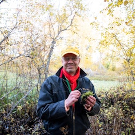 Suomen ympäristökeskuksen tutkija Krister Karttunen löysi Myllyojan varrella sijaitsevalta metsäluhdalta luhtakuirisammalta, joka on tyypillinen luhtalaji.