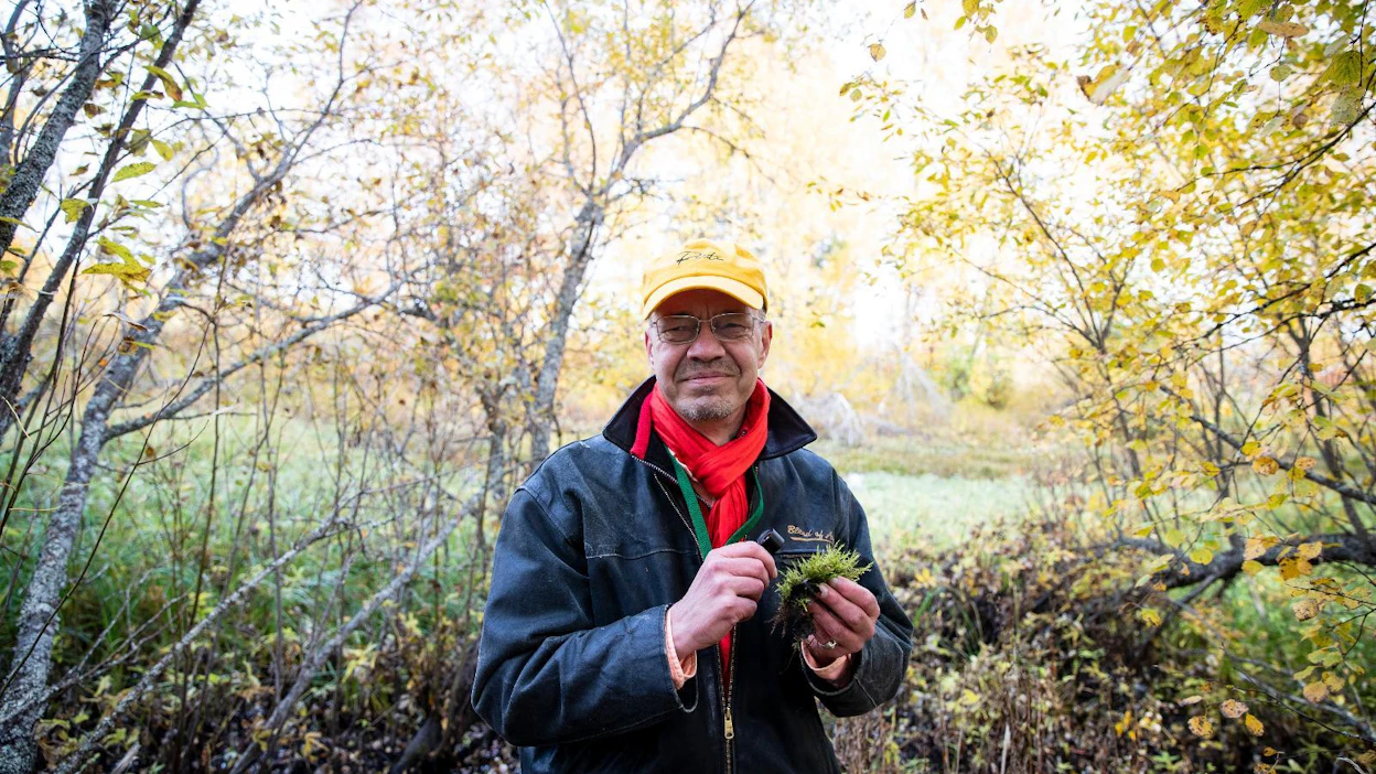 Suomen ympäristökeskuksen tutkija Krister Karttunen löysi Myllyojan varrella sijaitsevalta metsäluhdalta luhtakuirisammalta, joka on tyypillinen luhtalaji.