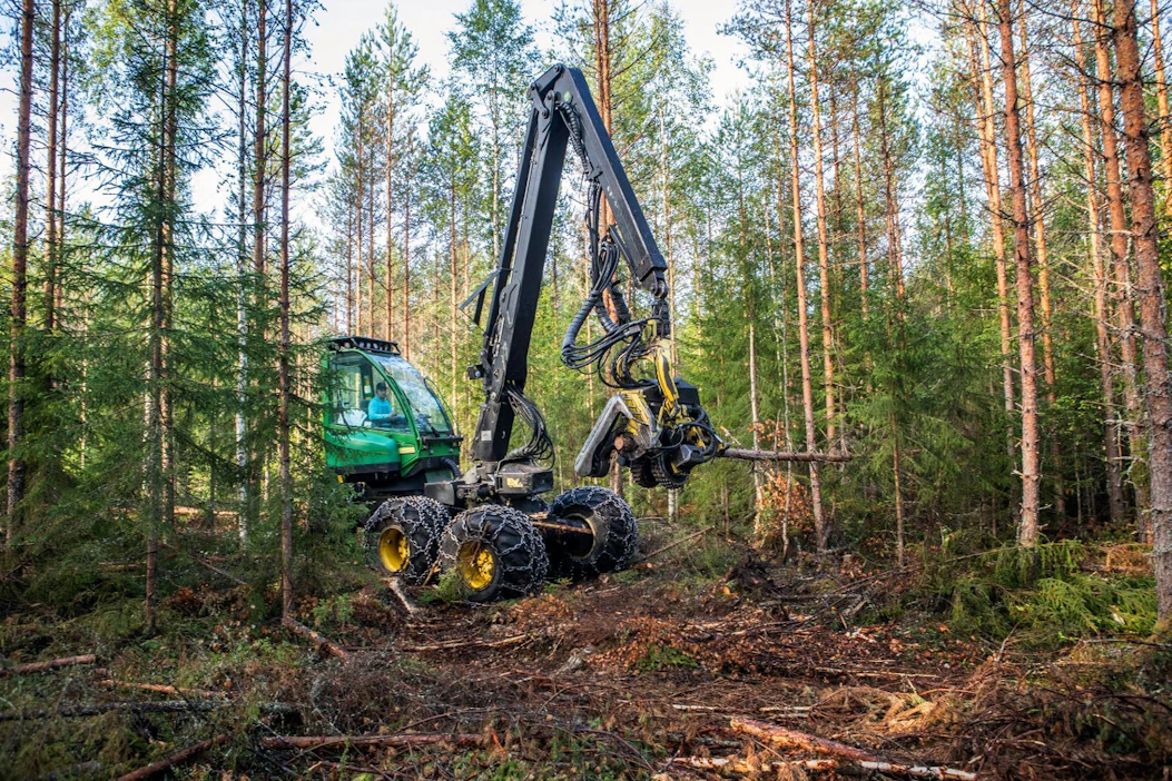 Jyväskylän yliopiston kauppakorkeakoulussa tehdyn suurtutkimuksen mukaan metsäteollisuuden nykyisten suuryritysten ylivoima juontaa juurensa toimialan kehityskaaren alkuajoille, 1800-luvun jälkimmäiselle puoliskolle. Tällöin yrittäjät valtasivat sijainneiltaan parhaat koski- ja metsäalueet. Kuvituskuva.
