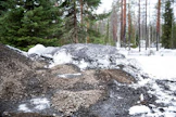 Vastuullista liiketoimintaa tuhkasta -hankkeessa selvitetään myös tuhkan käytön ympäristövaikutuksia.