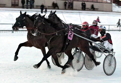 Regent Zet haastoi, mutta Midnight Hour piti pintansa.