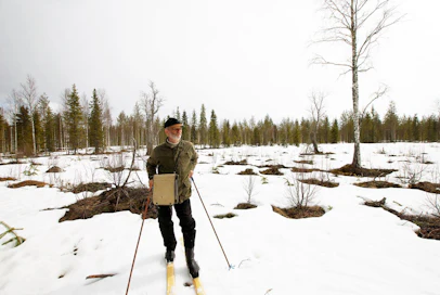 ”Vaikka toukokuu alkaa olla lopuillaan, Lapissa lämpösummaa ei ole kertynyt lainkaan. Kylmyys heikentää metsän kasvua tänä vuonna”, metsäntutkija Risto Jalkanen Rovaniemeltä sanoo.