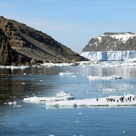 Jääpingviinejä Etelämantereen Danger-saarilla, jotka ovat toistaiseksi kärsineet verrattain vähän ilmastonmuutoksen vaikutuksista. LEHTIKUVA/AFP/HANDOUT